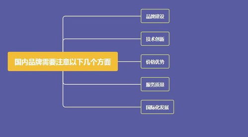 中國(guó)U盤(pán)發(fā)明與國(guó)外品牌市場(chǎng)主導(dǎo)的反思 技術(shù)推廣的差距