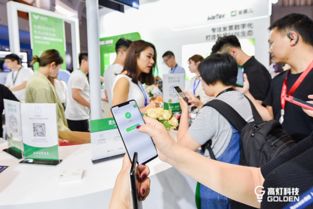 高燈科技亮相騰訊全球數(shù)字生態(tài)大會(huì)，專注打造智慧財(cái)稅極致體驗(yàn)