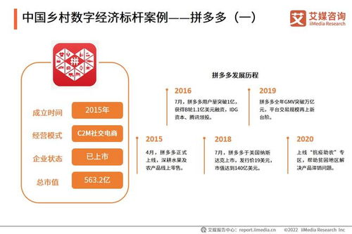 2022年中國(guó)鄉(xiāng)村數(shù)字經(jīng)濟(jì)發(fā)展專(zhuān)題研究報(bào)告