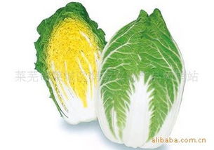 萊蕪市萊城區(qū)潤(rùn)宇農(nóng)副產(chǎn)品購(gòu)銷站 連接田間與餐桌的綠色橋梁